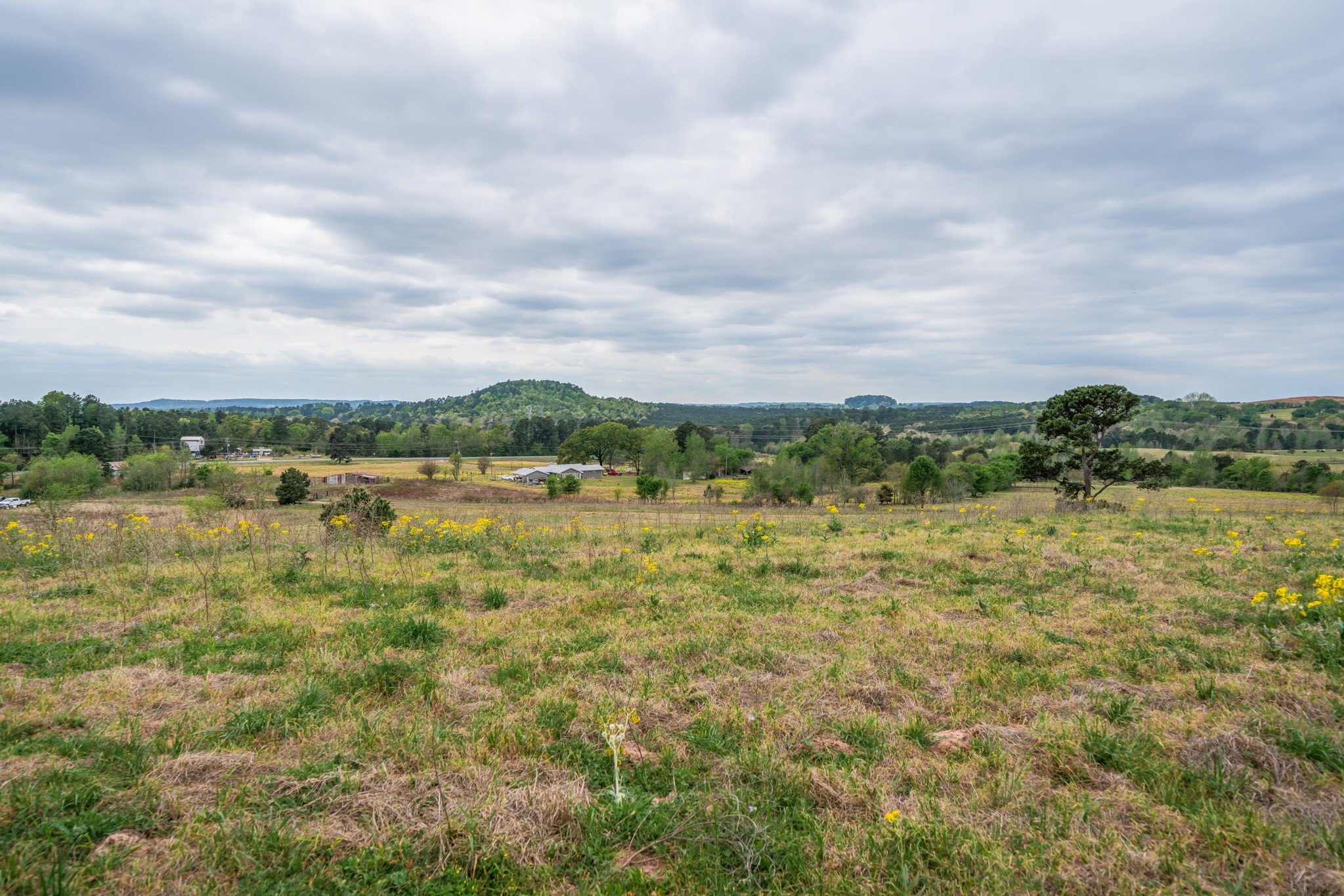 155 Ore City Tx 75683 Tyler, TX 75708 - Photo 22 of 50