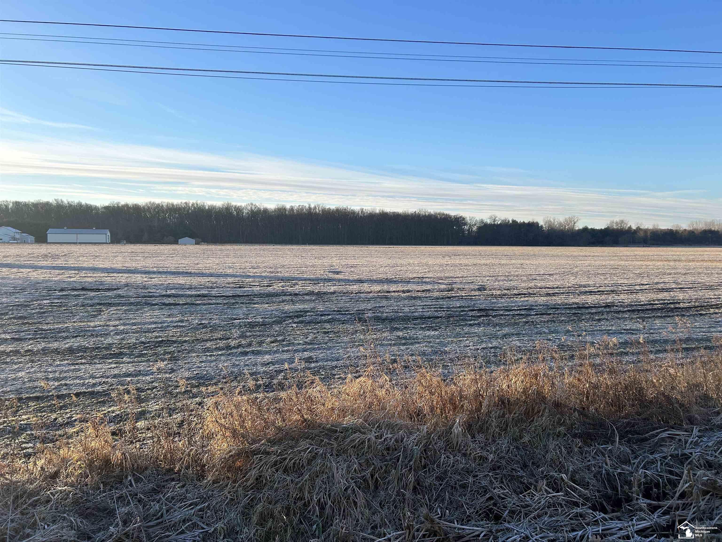 Todd Road Petersburg, MI 49270 - Photo 3 of 5