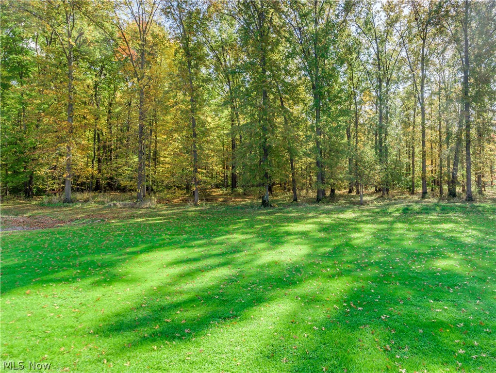 11520 Lair Road Northeast Alliance, OH 44601 - Photo 8 of 33 Gorgeous wooded area.