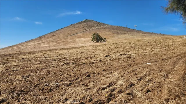 a view of a dry yard with trees