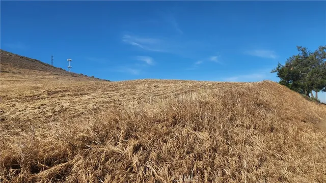 a view of a dry field with trees in the background