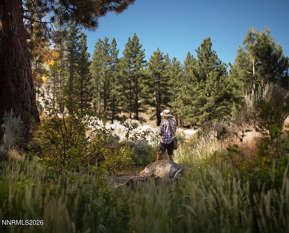 558 Headwaters Way, Unit 362 Carson City, NV 89705 - Photo 35 of 38 a view of forest