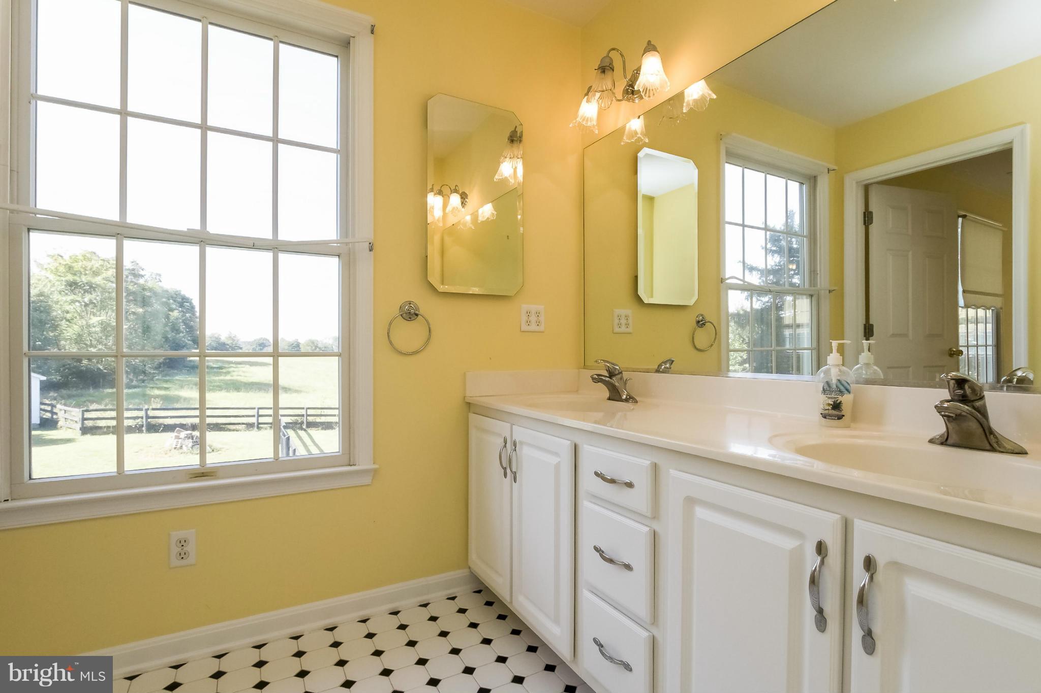 1070 Berrys Ferry Road White Post, VA 22663 - Photo 9 of 28 Bath (Master)