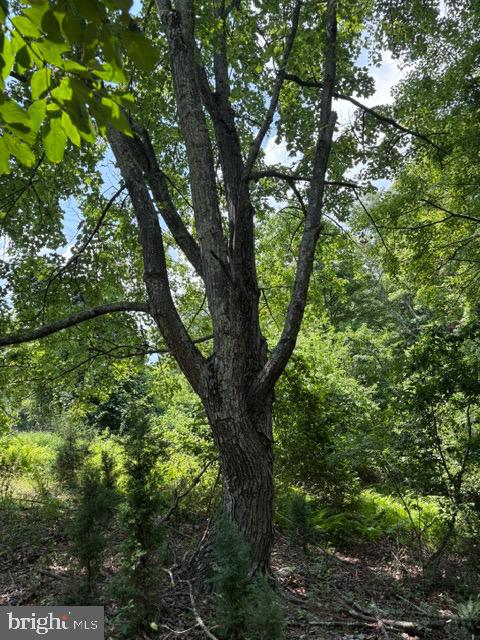 Lot 24-a Ac Fox Run Baker, WV 26801 - Photo 22 of 34
