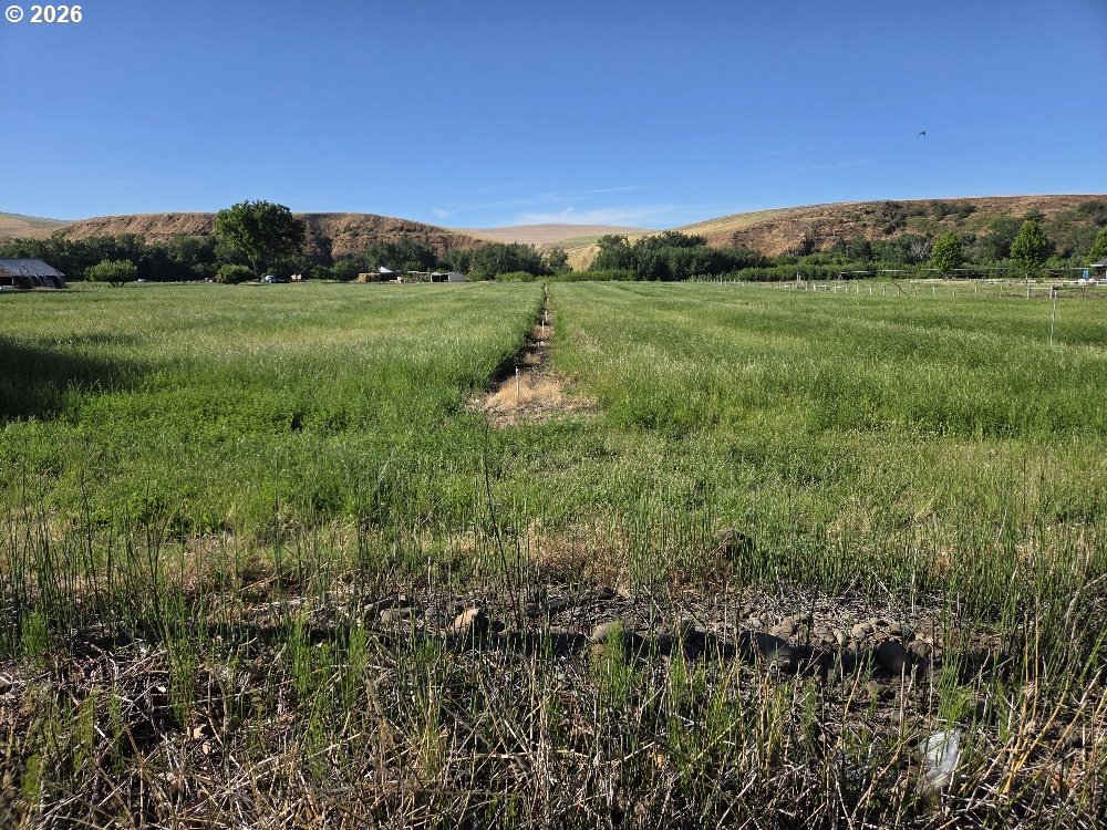 54884 Day Road Milton Freewater, OR 97862 - Photo 16 of 25