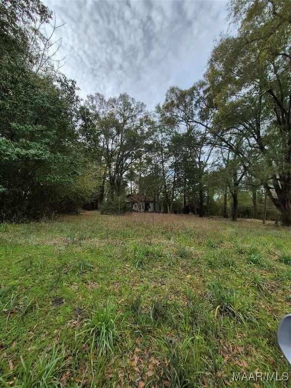 303 Fletcher Road Andalusia, AL 36421 - Photo 3 of 4 Gallery Image 3