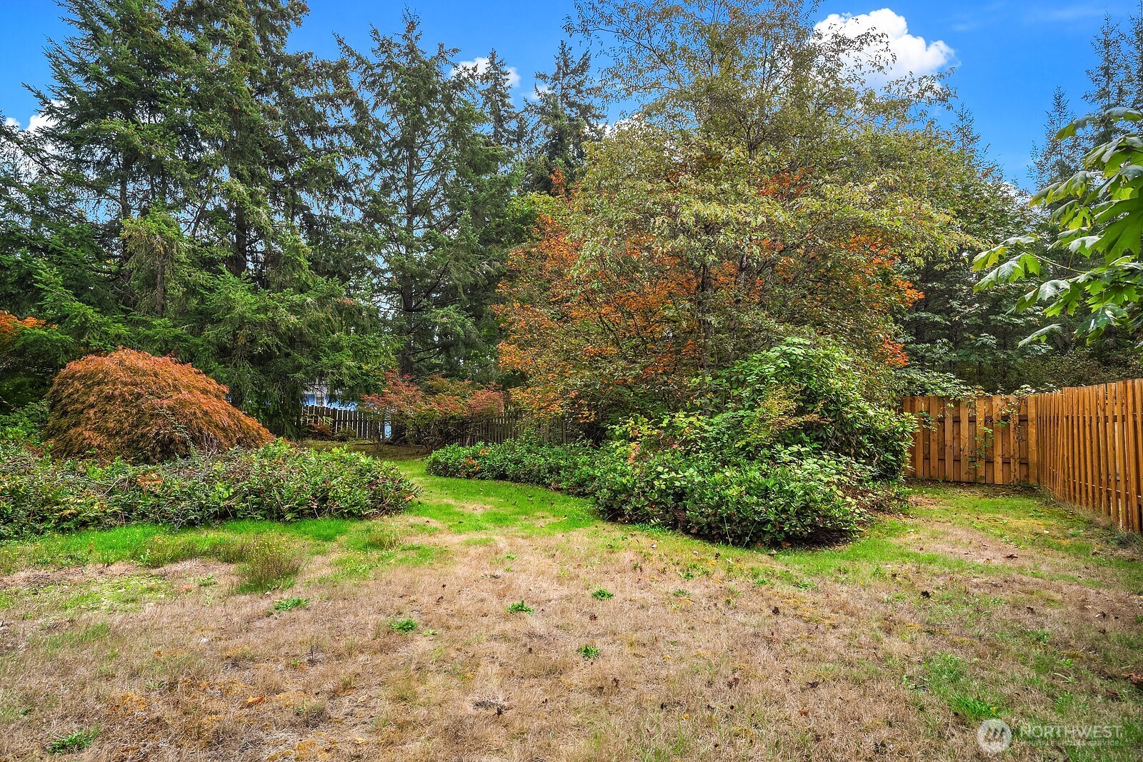 16169 Southeast 146th Place Renton, WA 98059 - Photo 27 of 34 Gallery Image 27