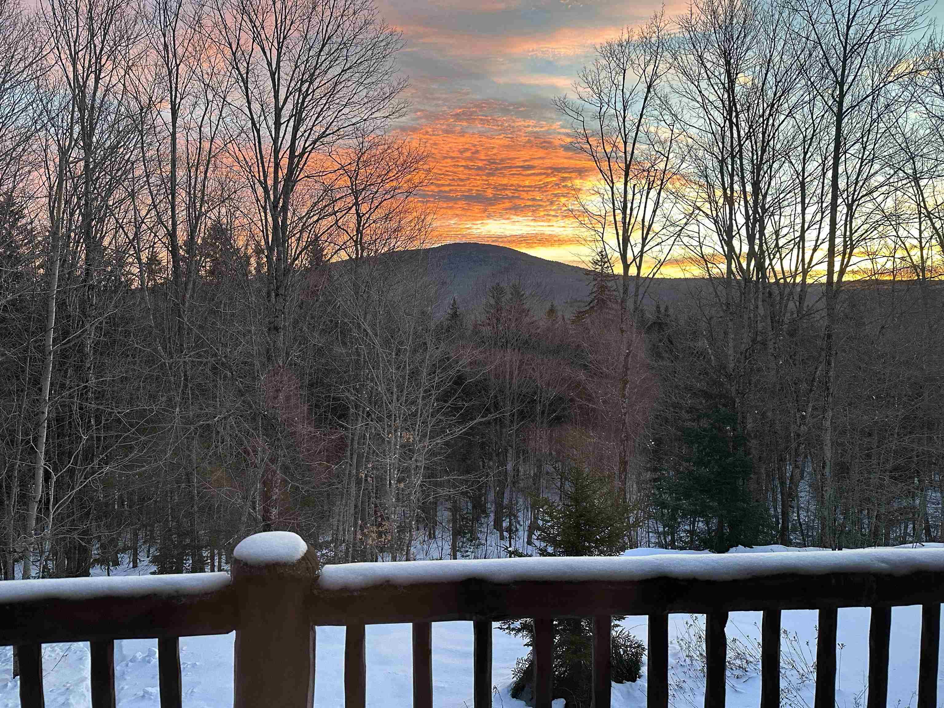 281 Yale Road Mount Holly, VT 05730 - Photo 57 of 60 Gallery Image 57