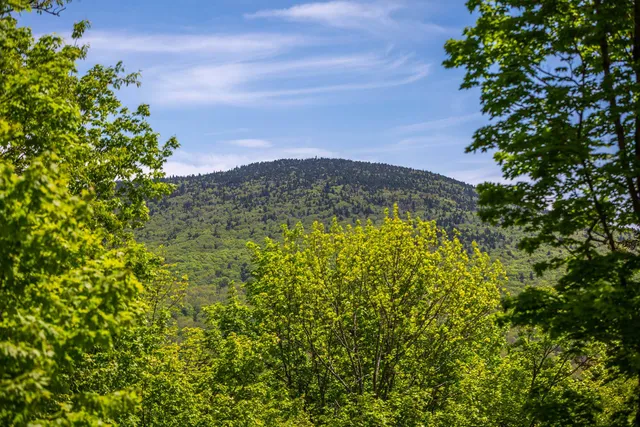 $899,000 | 281 Yale Road, Mount Holly, VT 05730