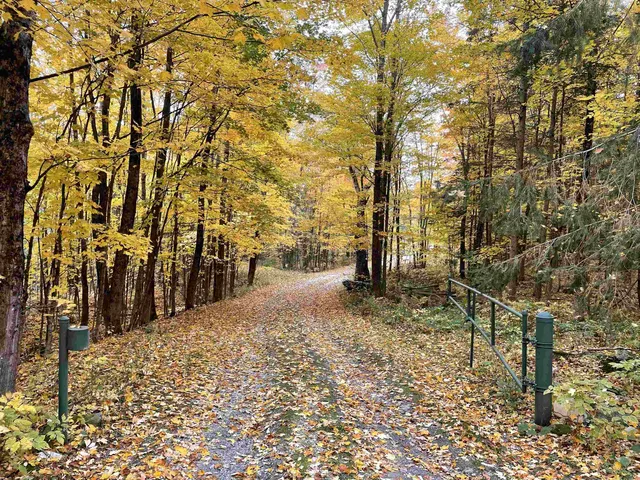 $899,000 | 281 Yale Road, Mount Holly, VT 05730