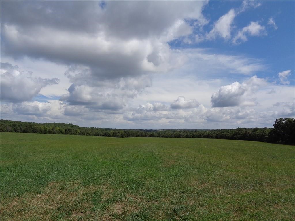 1550 Tbd County Road Compton, AR 72624 - Photo 20 of 27 Gallery Image 20