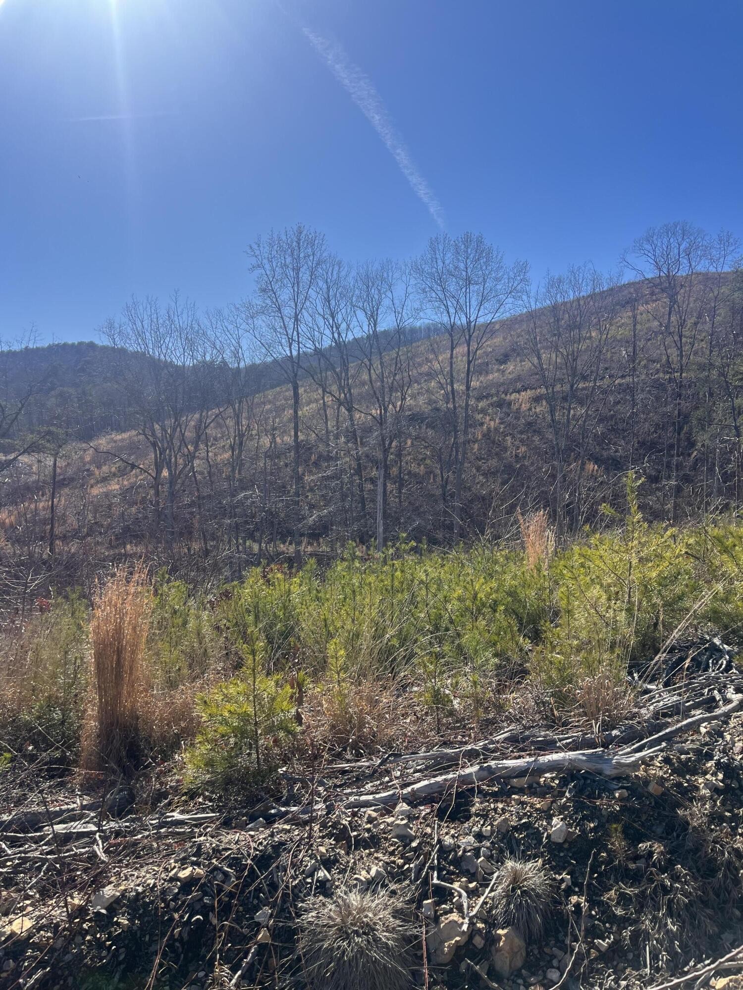 0 North Dug Gap Road Dalton, GA 30720 - Photo 11 of 15 a view of a backyard