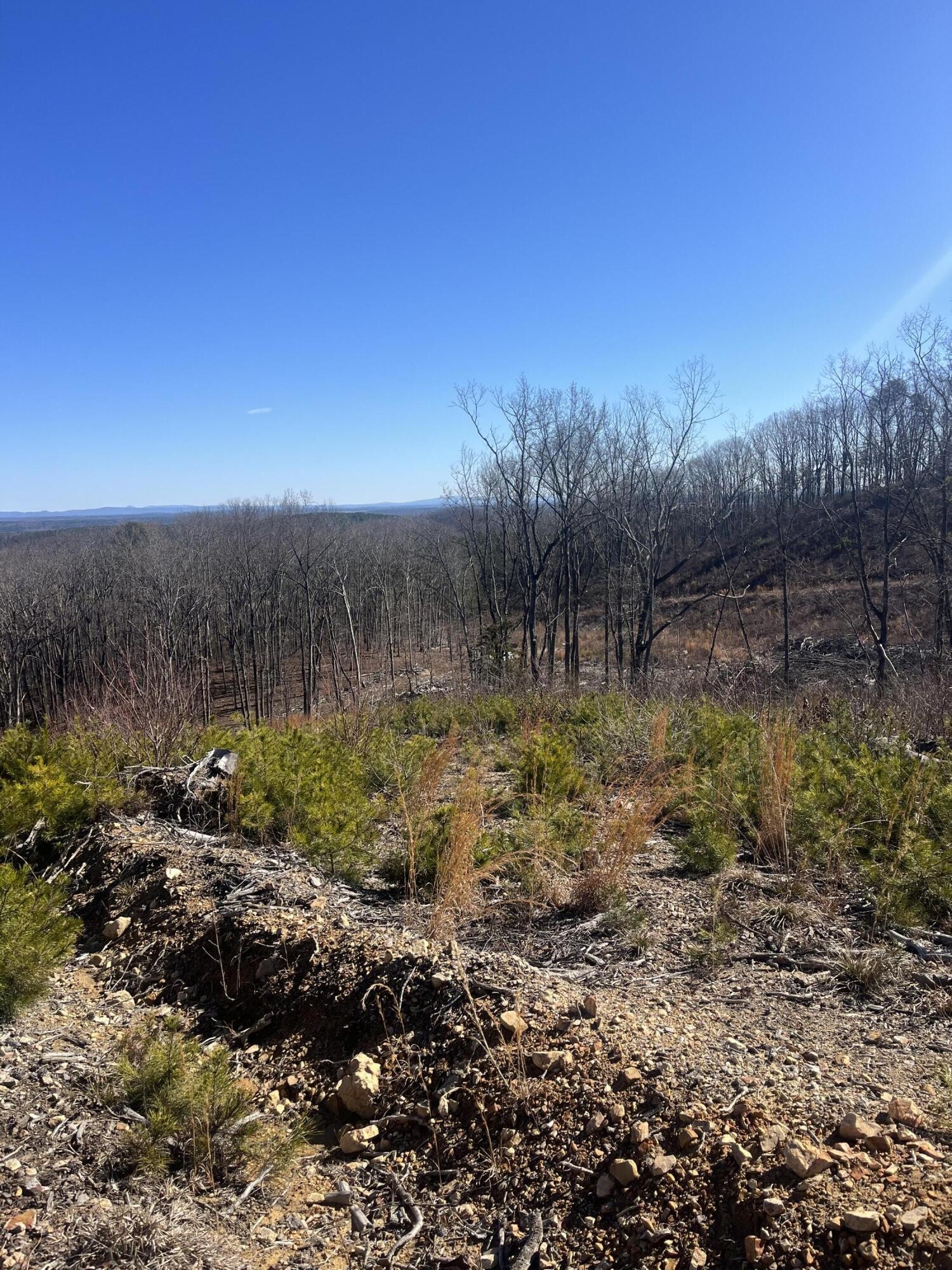 0 North Dug Gap Road Dalton, GA 30720 - Photo 12 of 15 a view of a yard with wooden fence