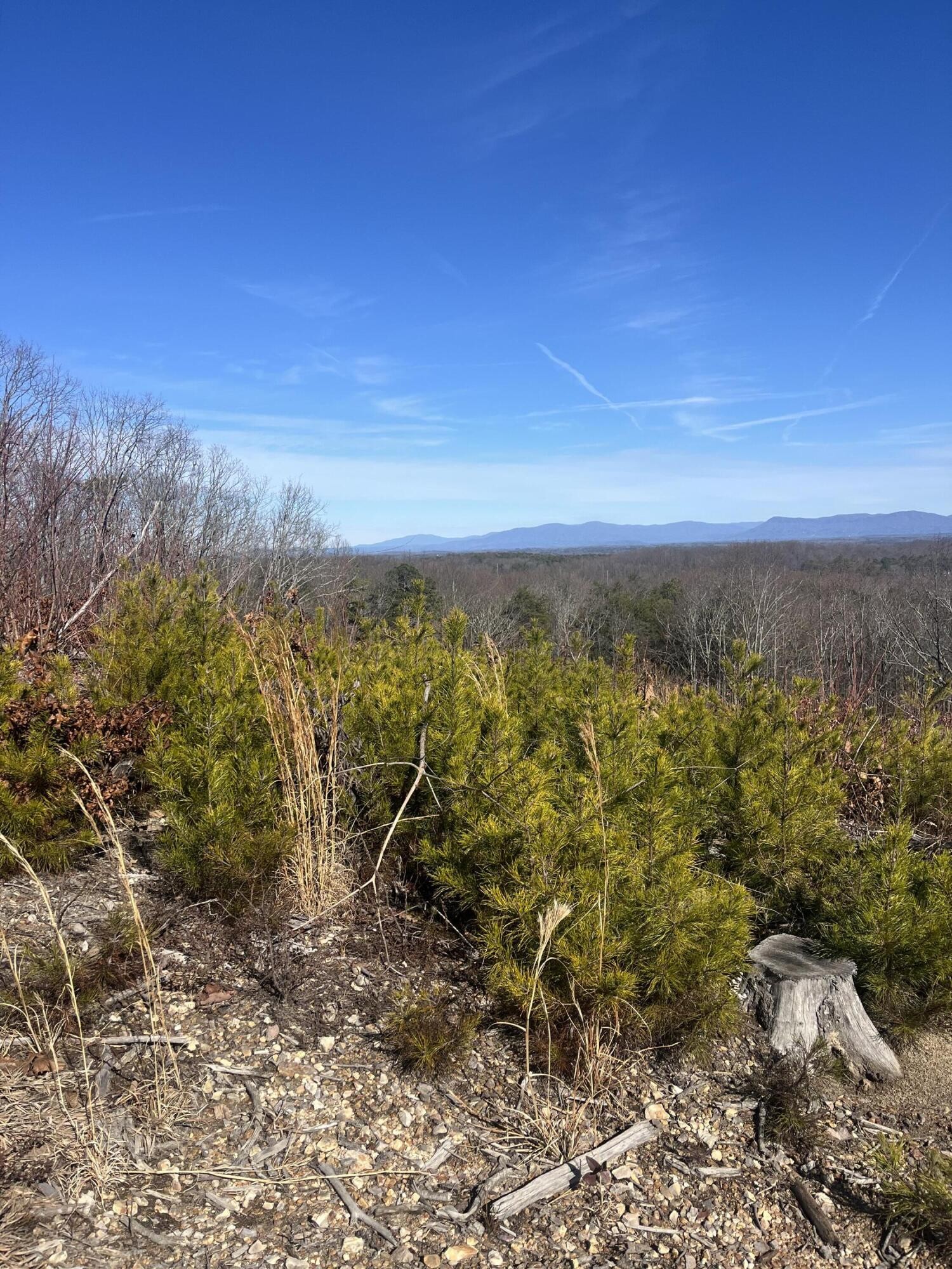 0 North Dug Gap Road Dalton, GA 30720 - Photo 13 of 15 a view of a yard with an outdoor space