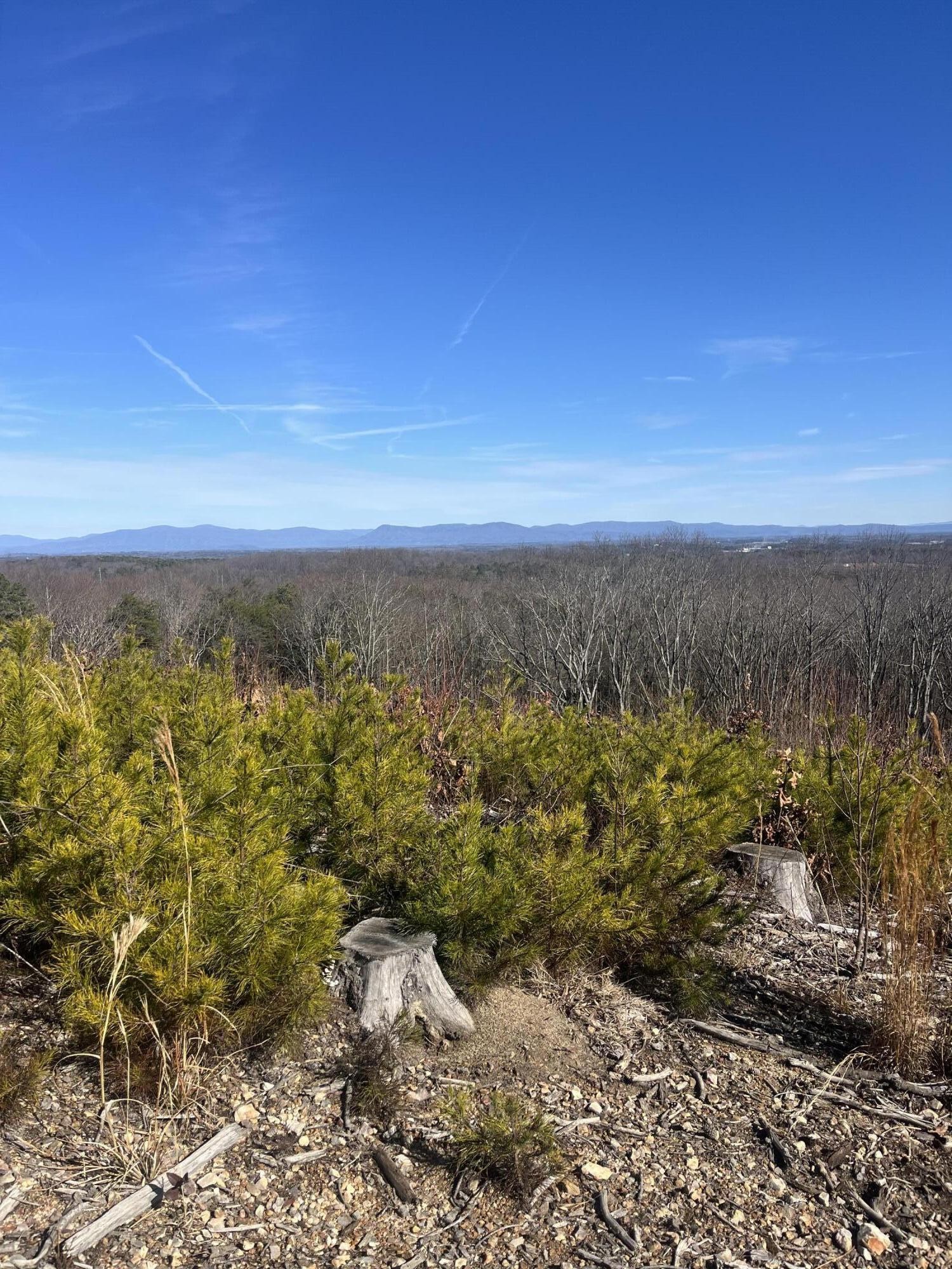 0 North Dug Gap Road Dalton, GA 30720 - Photo 14 of 15 a view of an ocean