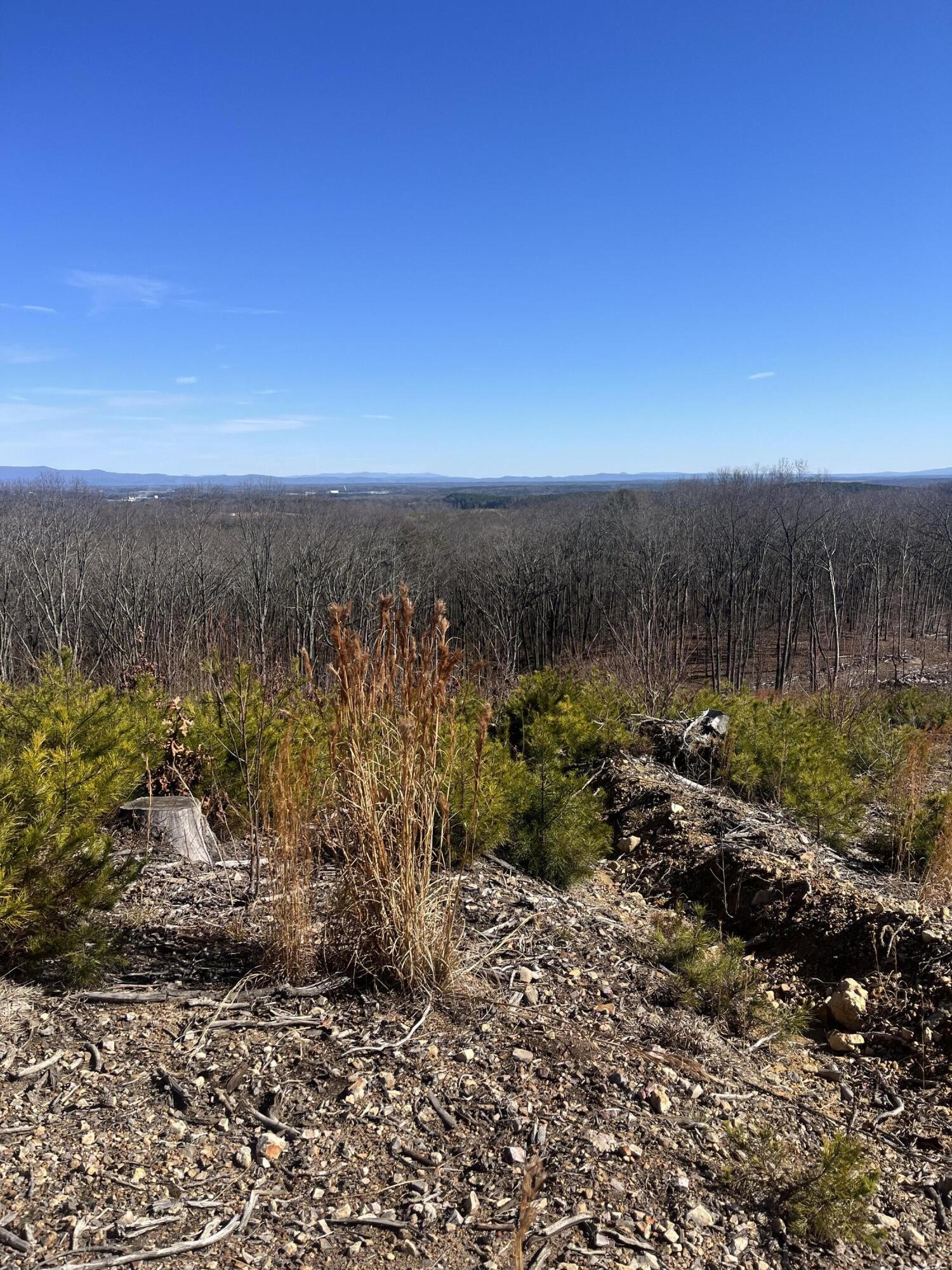 0 North Dug Gap Road Dalton, GA 30720 - Photo 15 of 15 a view of a lake with a yard