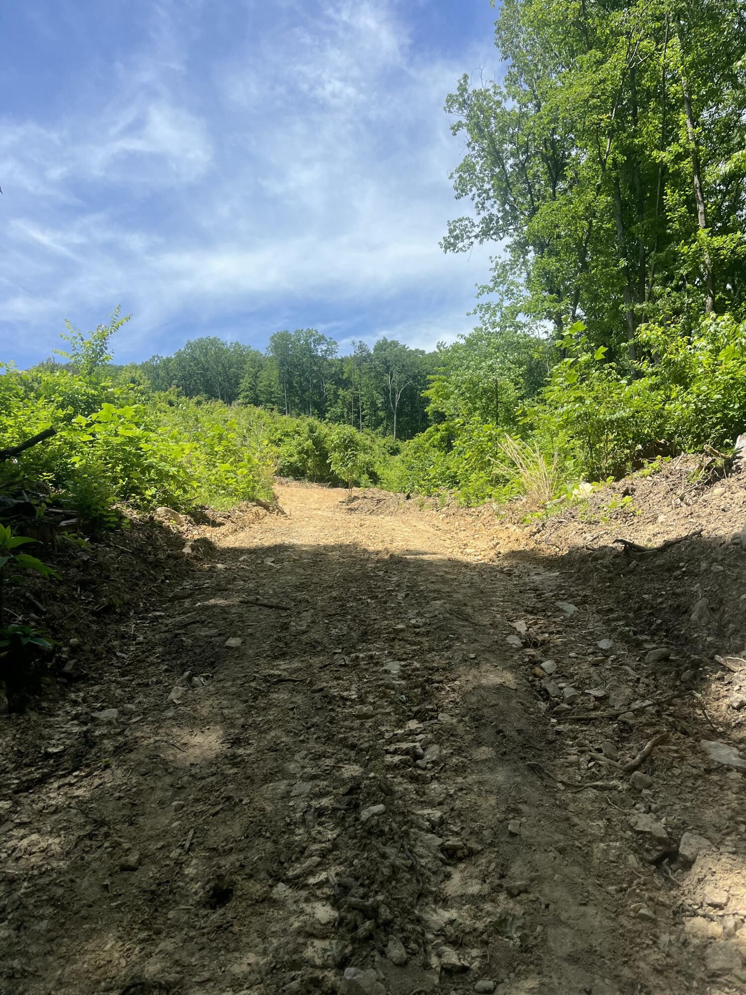 0 North Dug Gap Road Dalton, GA 30720 - Photo 18 of 22