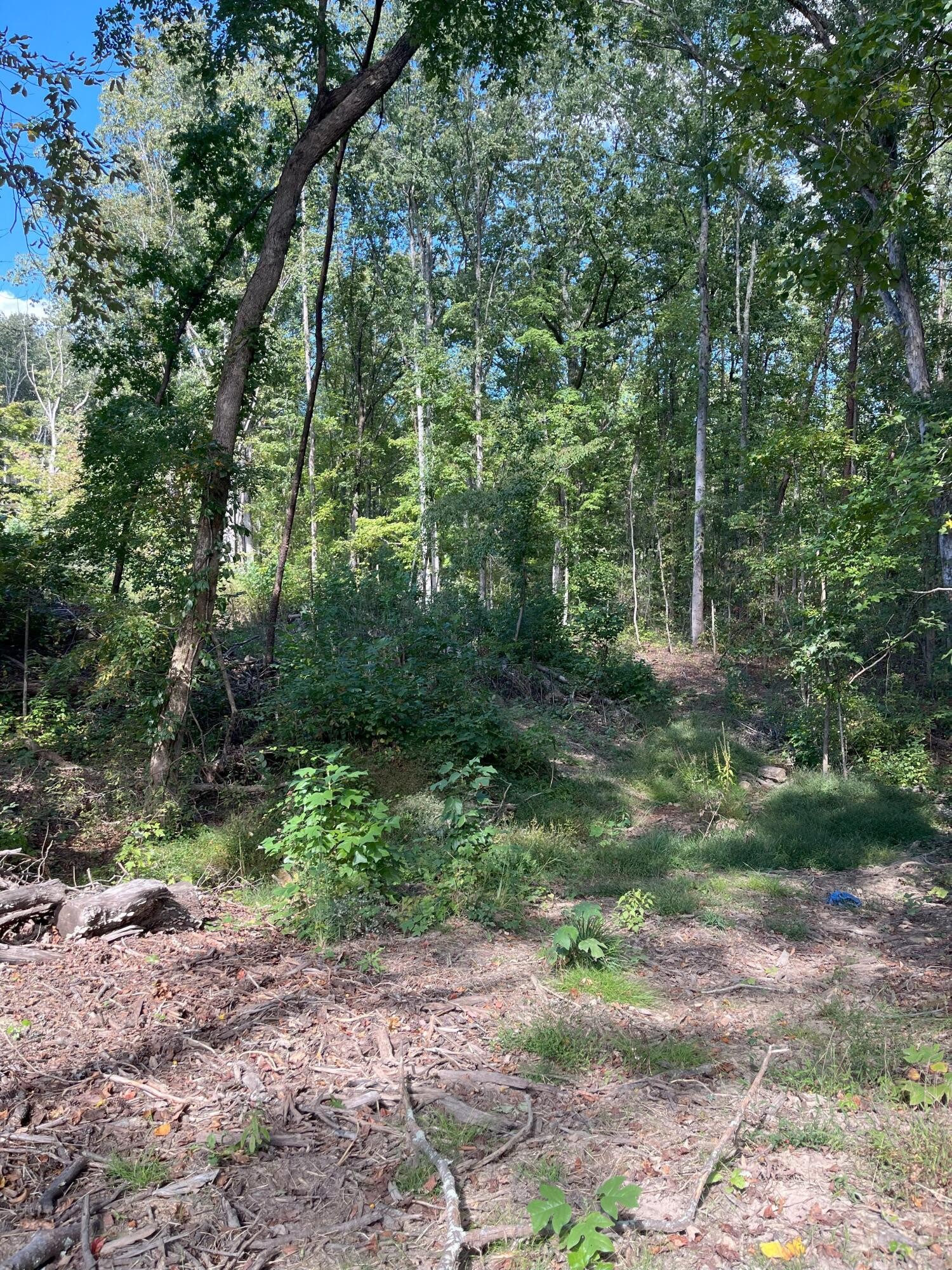 0 North Dug Gap Road Dalton, GA 30720 - Photo 5 of 9