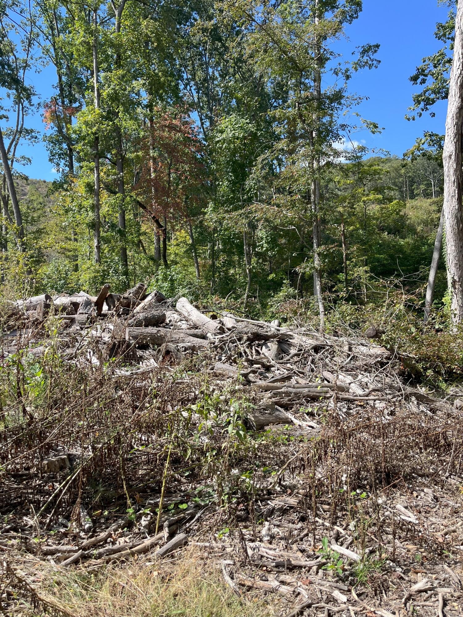 0 North Dug Gap Road Dalton, GA 30720 - Photo 6 of 9