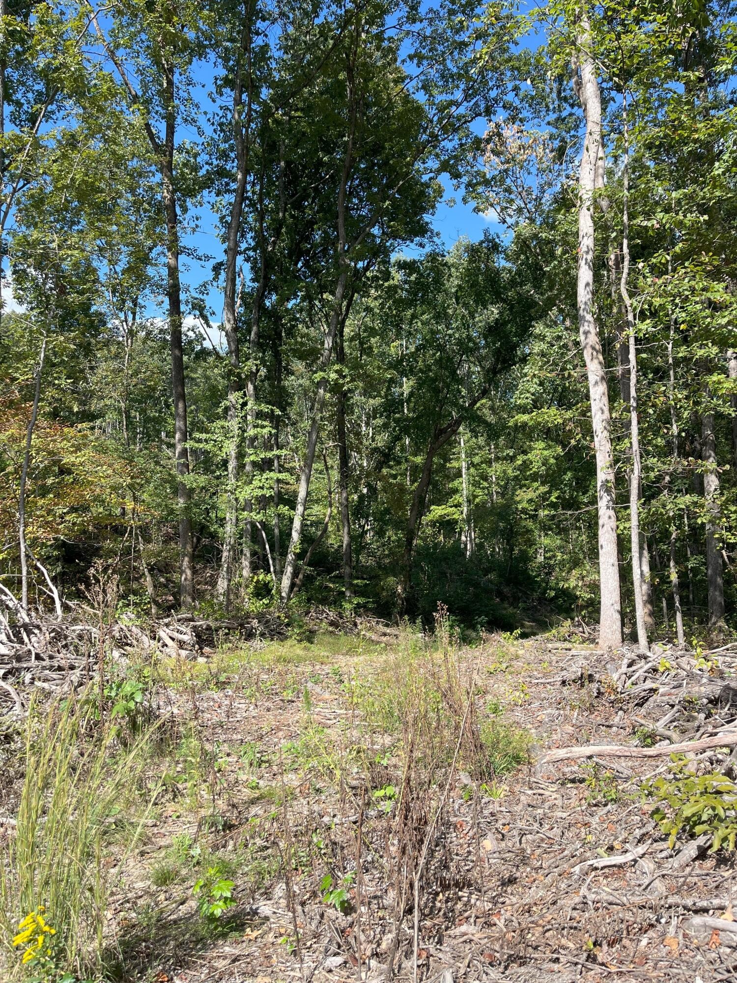 0 North Dug Gap Road Dalton, GA 30720 - Photo 8 of 9