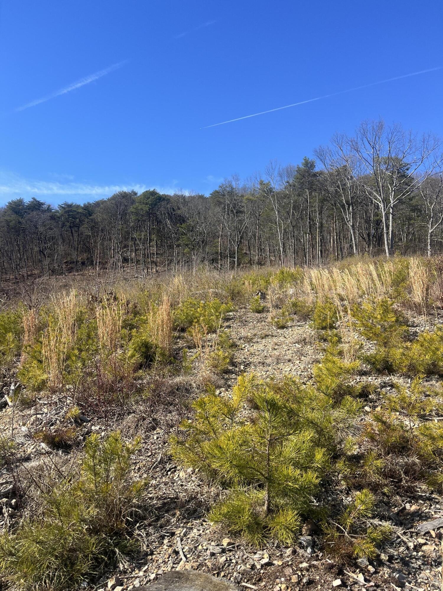 0 North Dug Gap Road Dalton, GA 30720 - Photo 10 of 15 a view of lake with mountain