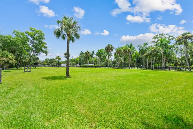 a view of a park with large trees