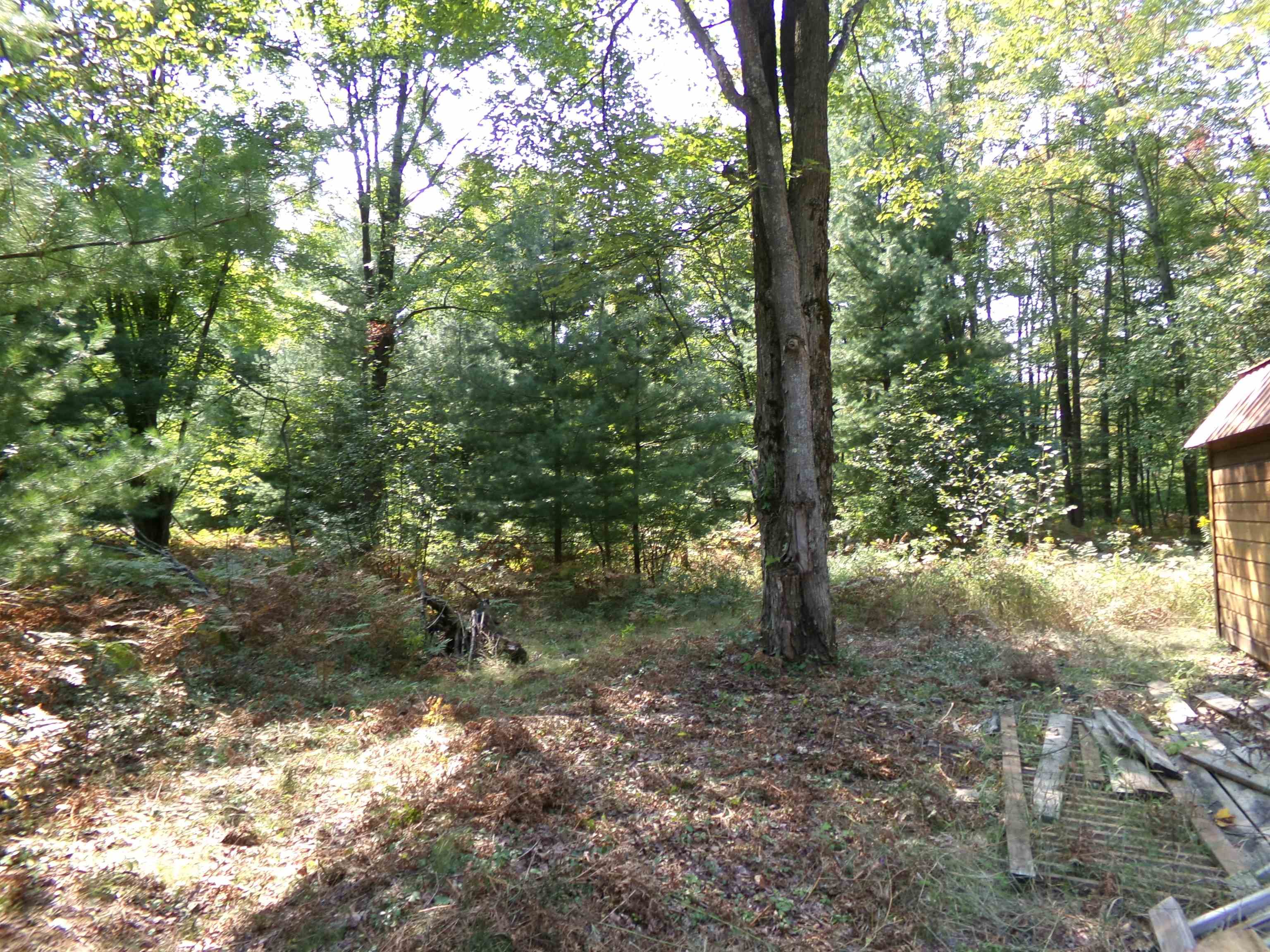 710-730 West Howard Road Beaverton, MI 48612 - Photo 14 of 82 1926814-EB8F83A5-BE63-49AB-82FA-815300F73908.JPG
