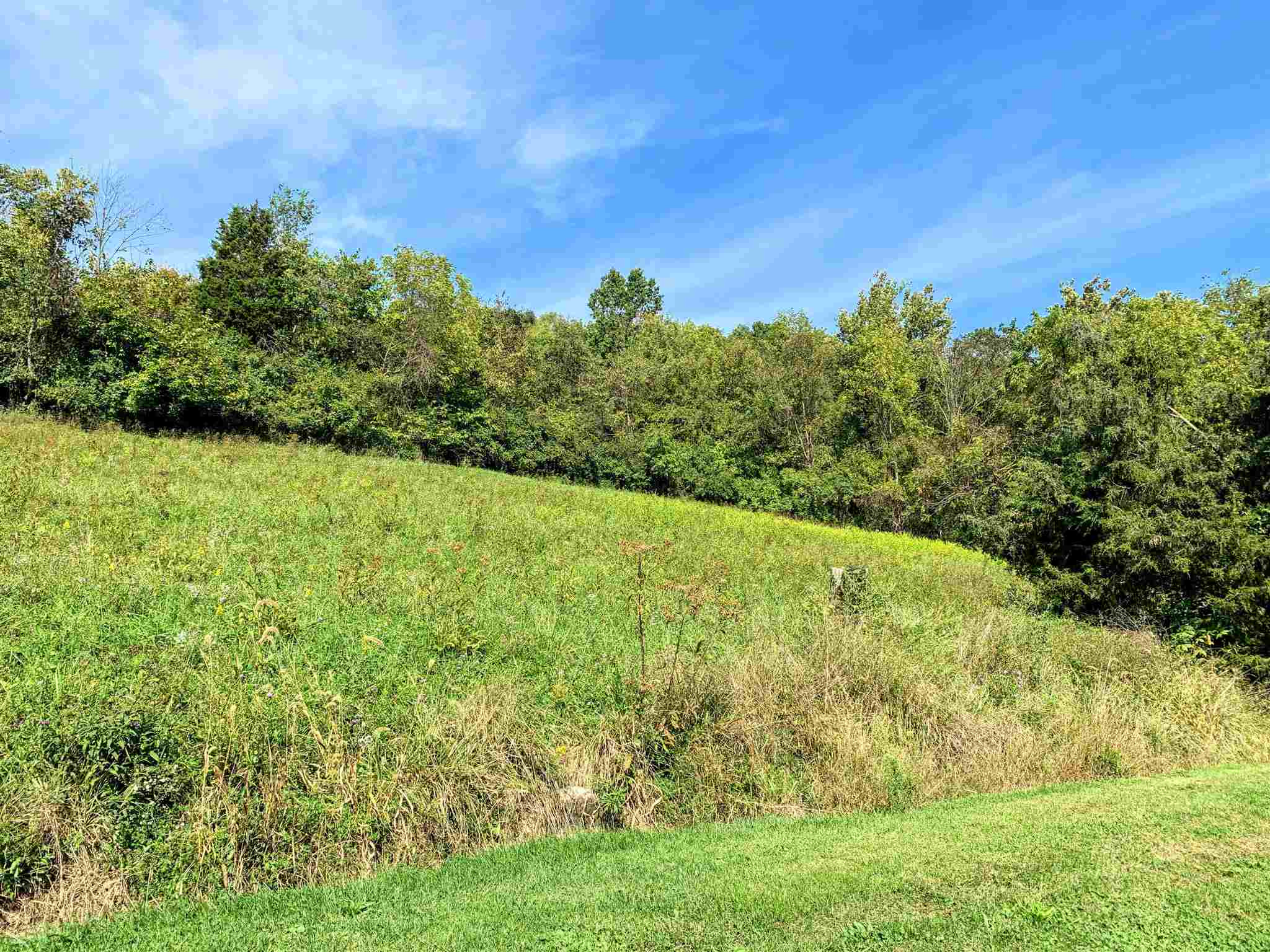 394 Orphanage Road Fort Wright, KY 41017 - Photo 32 of 37 Gallery Image 32