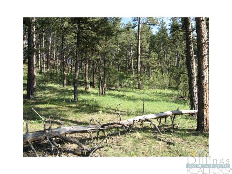 Tbd Spring Hollow Roundup, MT 59072 - Photo 1 of 1 Land/Lot.