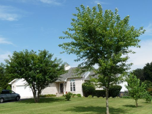 442 Frost Road Crossville, TN 38571 - Photo 2 of 31 Additional Photo