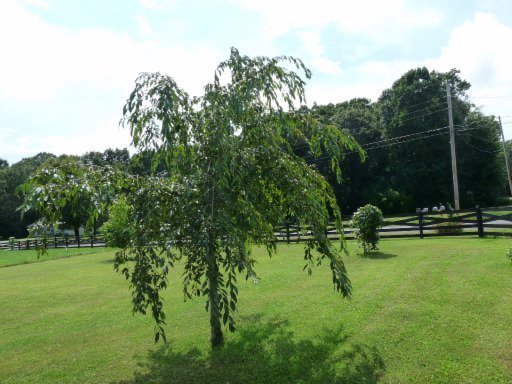 442 Frost Road Crossville, TN 38571 - Photo 25 of 31 Additional Photo