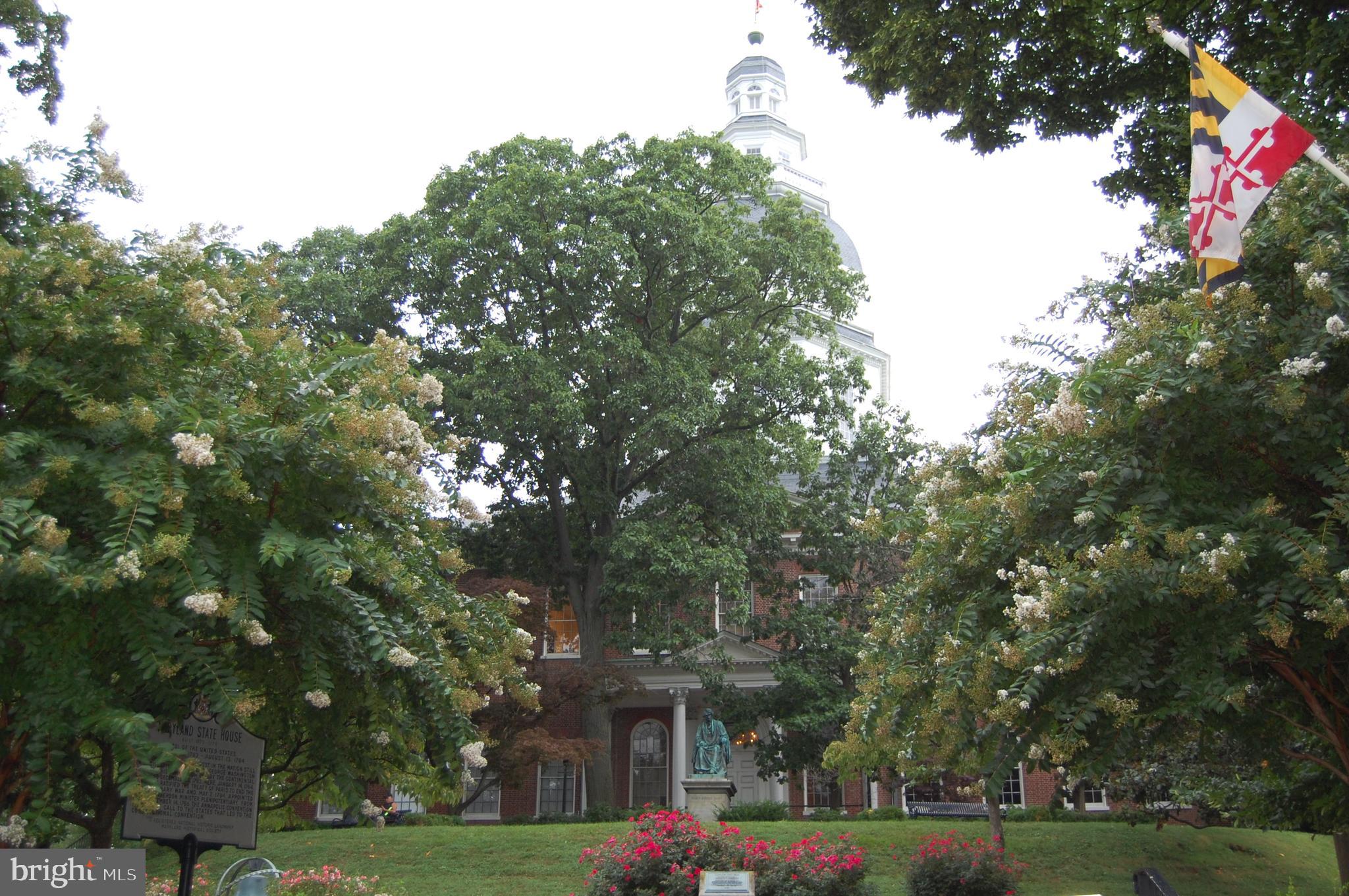 1870 Poplar Road Annapolis, MD 21401 - Photo 45 of 51 Historic Maryland Statehouse downtown Annapolis