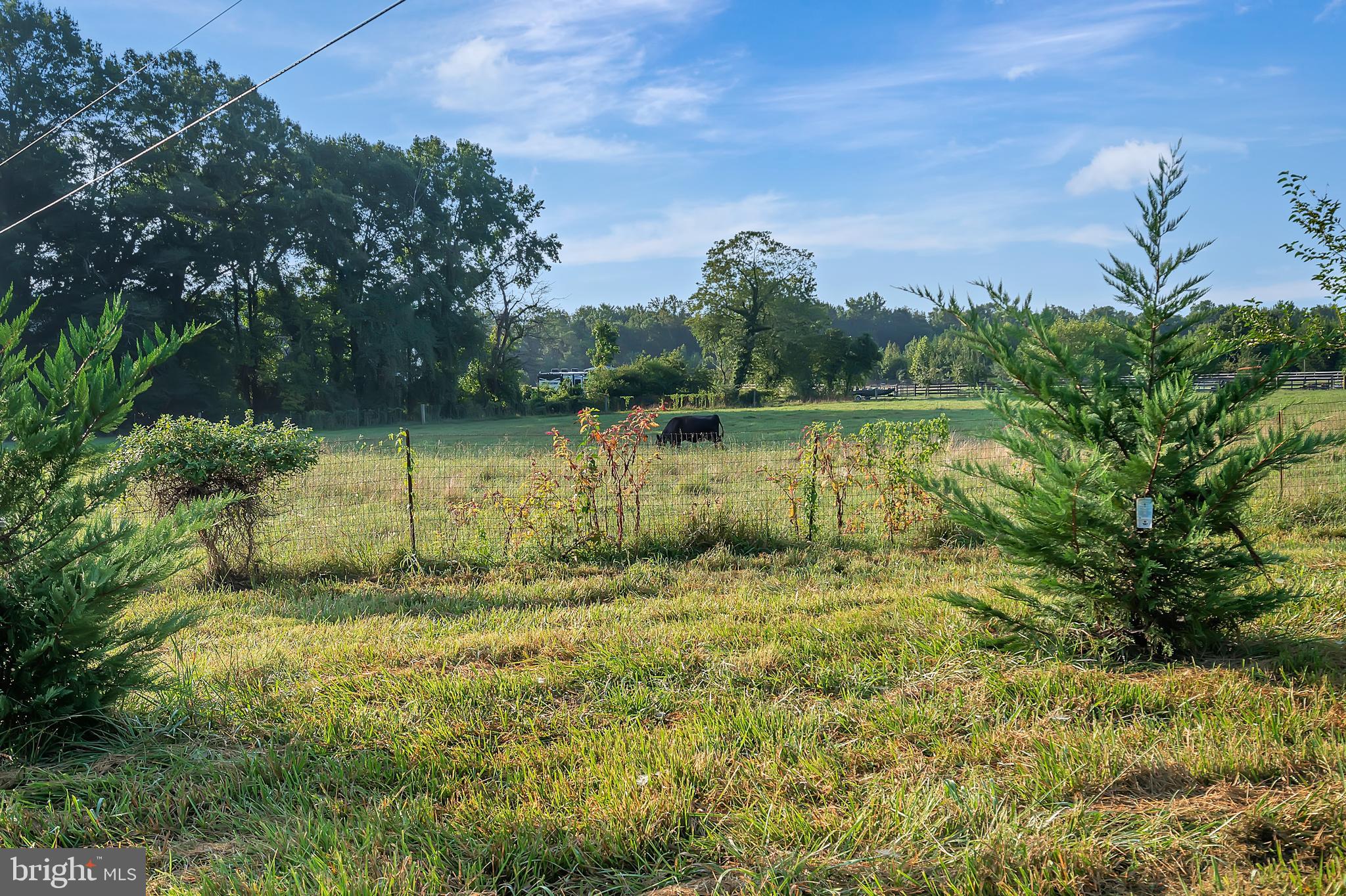 1191 Woodstock Road King George, VA 22485 - Photo 38 of 54 Gallery Image 38