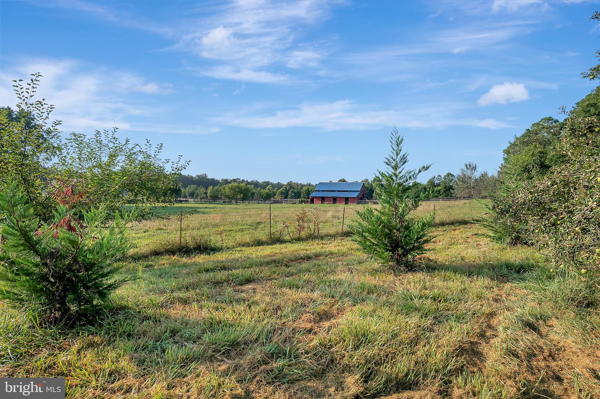 1191 Woodstock Road King George, VA 22485 - Photo 39 of 54 Gallery Image 39