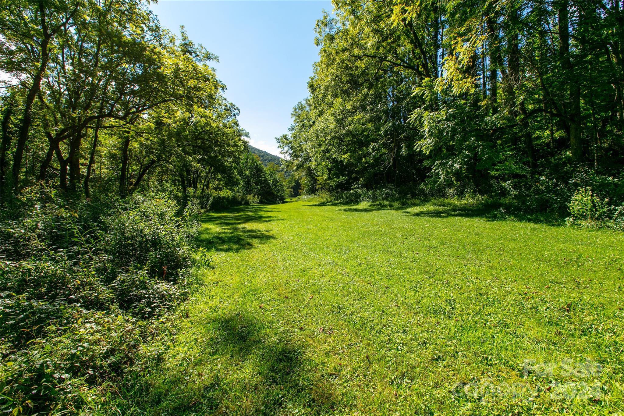 0 Scout Trail, Unit 14 Canton, NC 28716 - Photo 3 of 8 a view of a grassy field with trees