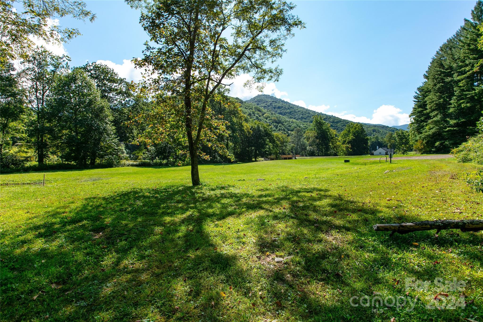 0 Scout Trail, Unit 14 Canton, NC 28716 - Photo 6 of 8 a view of a field with trees in the background