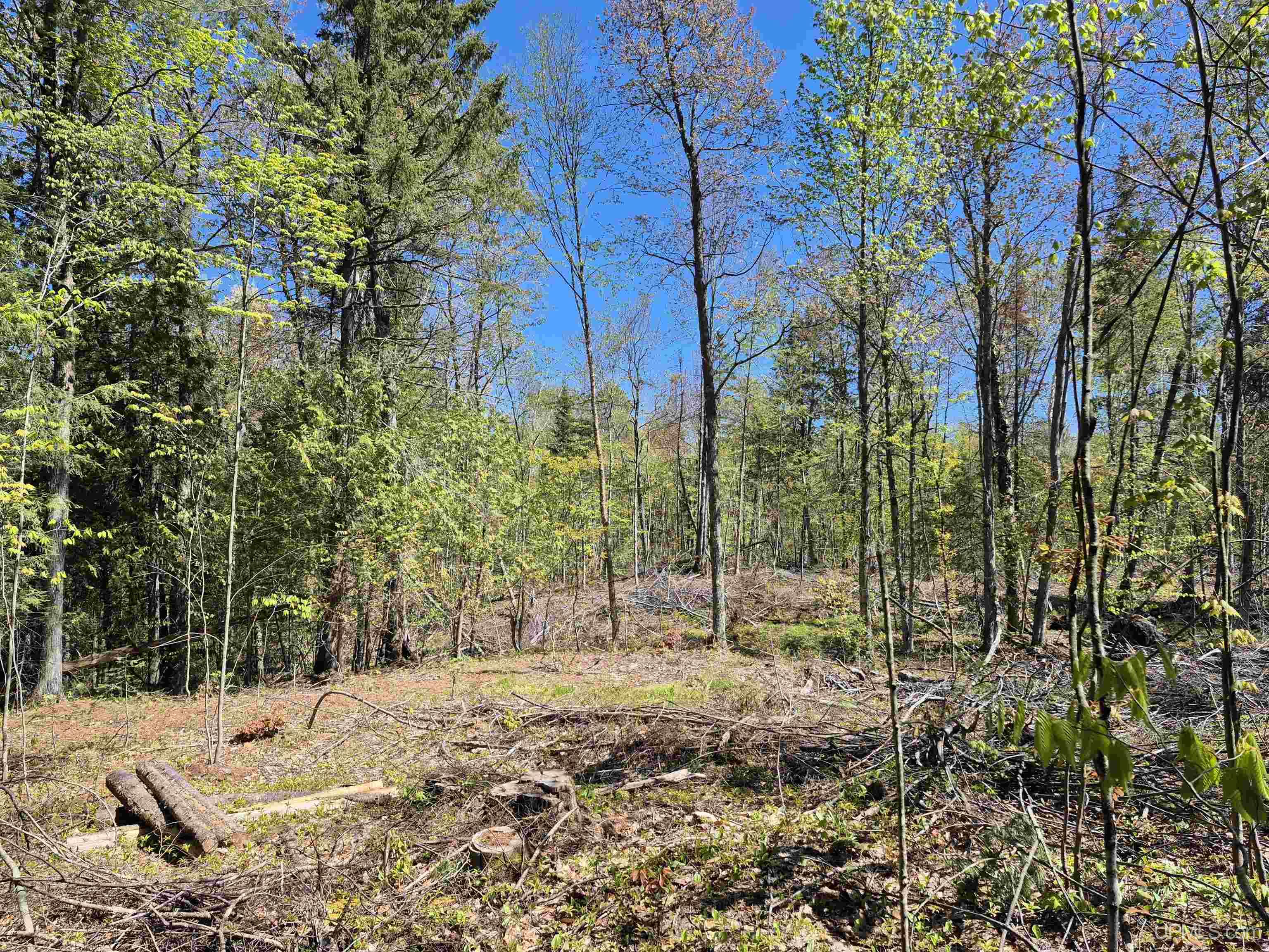 South 8-acres Perch Lake Road Munising, MI 49862 - Photo 16 of 44 Gallery Image 16