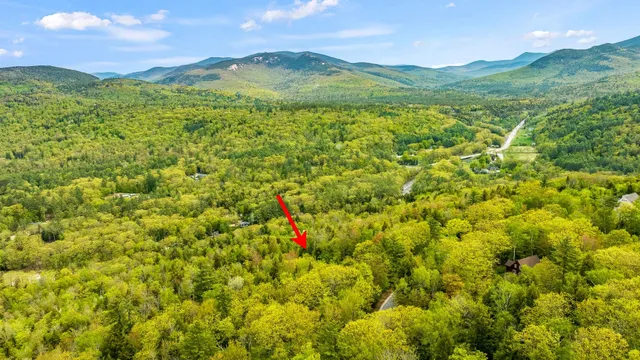 $1,750,000 | 11 Weeping Birches Lane, Thornton, NH 03285