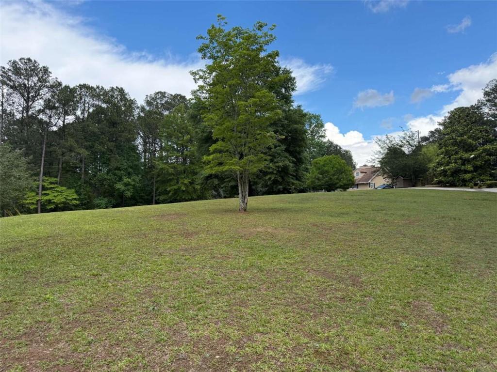 1972 Mt Zion Road Oxford, GA 30054 - Photo 2 of 15 a view of a trees with a yard