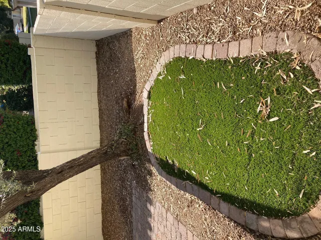 a view of a bunch of plants