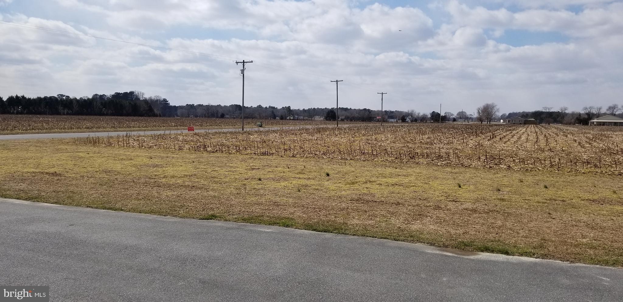 595 Log Cabin Road Milford, DE 19963 - Photo 12 of 32 Gallery Image 12