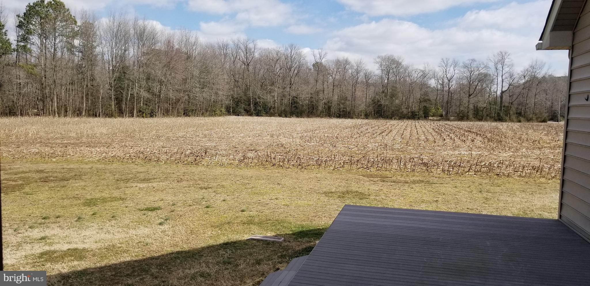 595 Log Cabin Road Milford, DE 19963 - Photo 13 of 32 Gallery Image 13