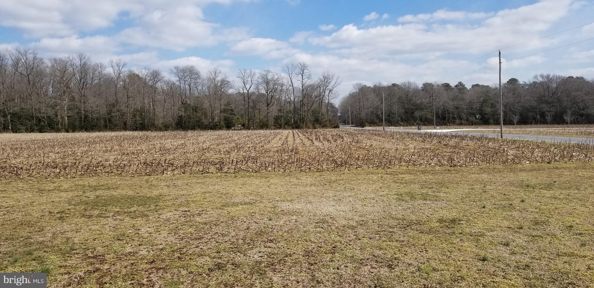 595 Log Cabin Road Milford, DE 19963 - Photo 14 of 32 Gallery Image 14