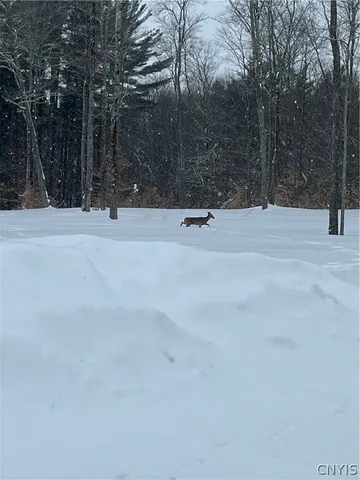 $799,900 | 5117 Pleasant Valley Road North, Greig, NY 13312