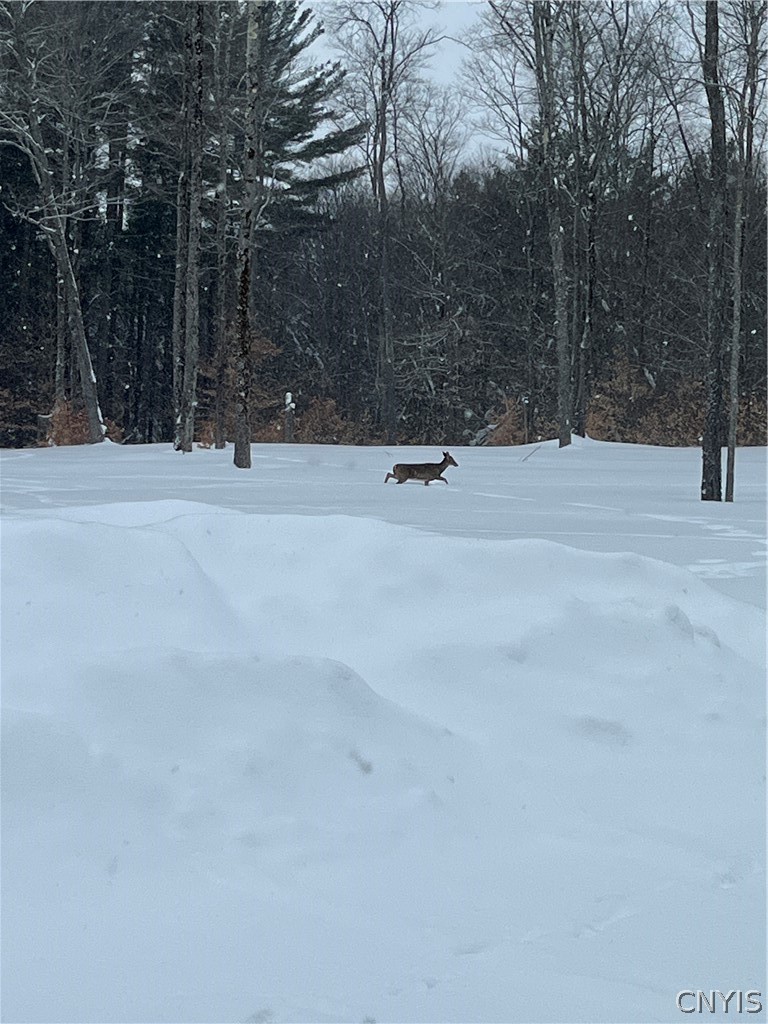 5117 Pleasant Valley Road North Greig, NY 13312 - Photo 42 of 42