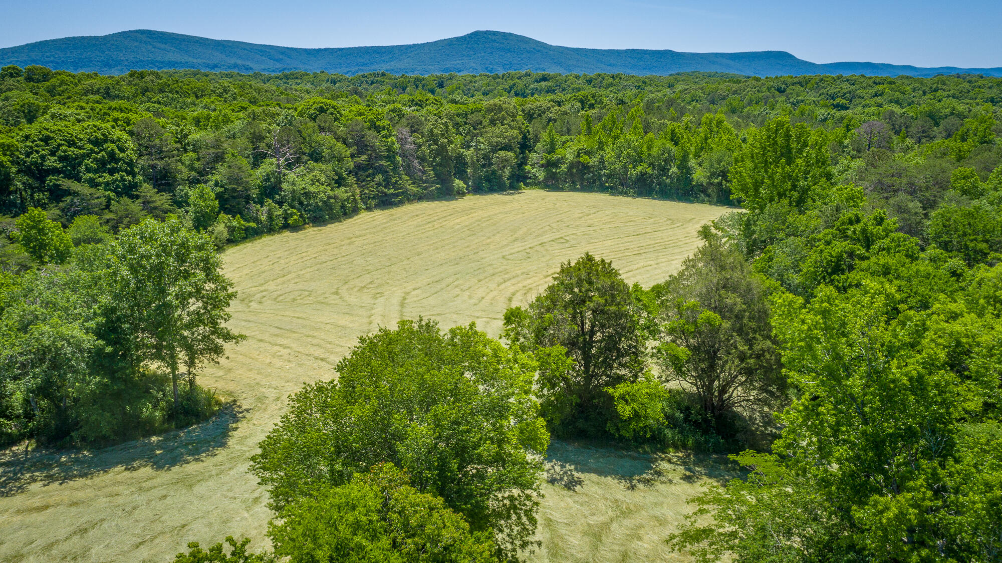 1655 West Cove Road Chickamauga, GA 30707 - Photo 51 of 62 1655 W Cove Road HD-10