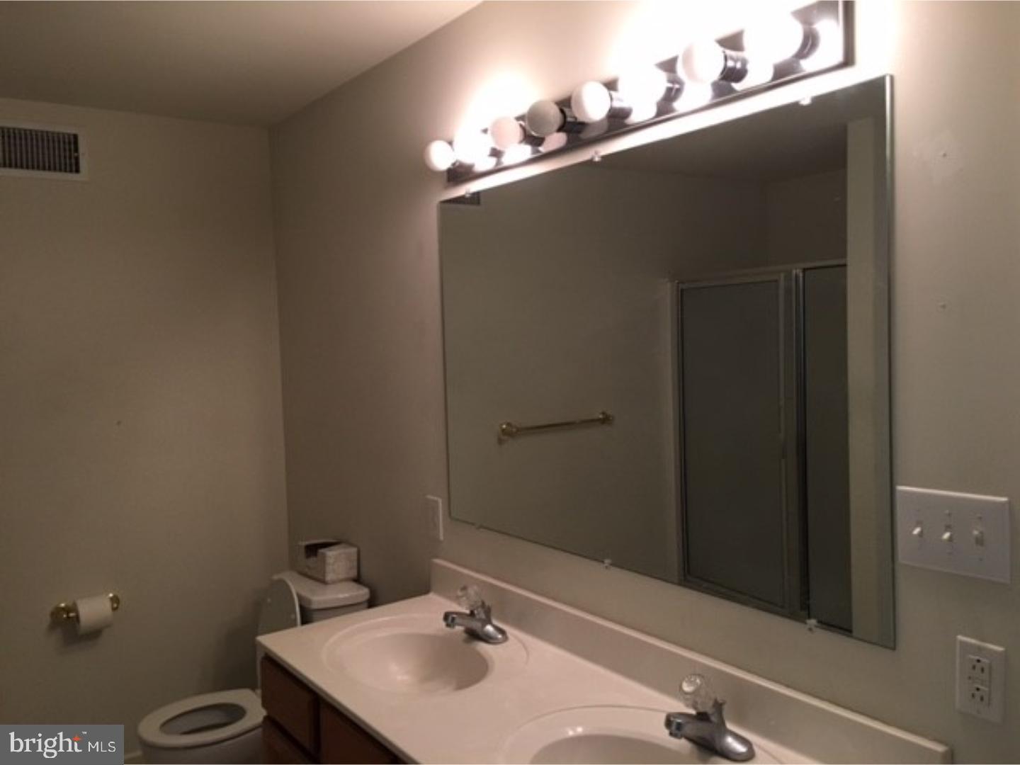228 North Sandy Lane Sinking Spring, PA 19608 - Photo 13 of 18 Master Bathroom