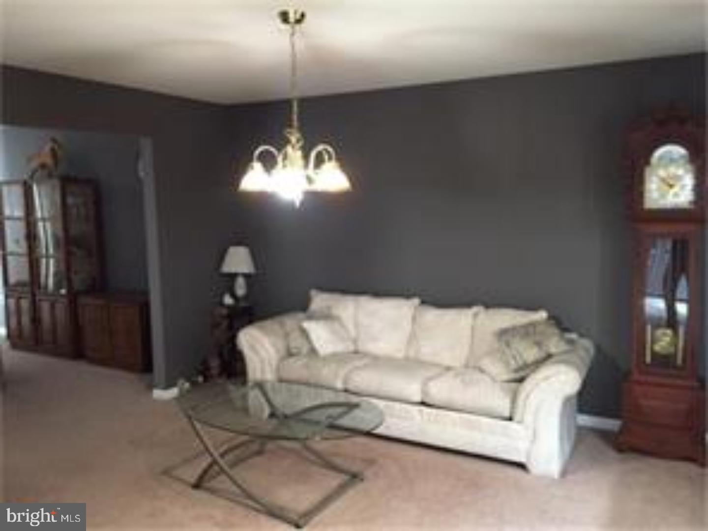 228 North Sandy Lane Sinking Spring, PA 19608 - Photo 3 of 18 Living Room