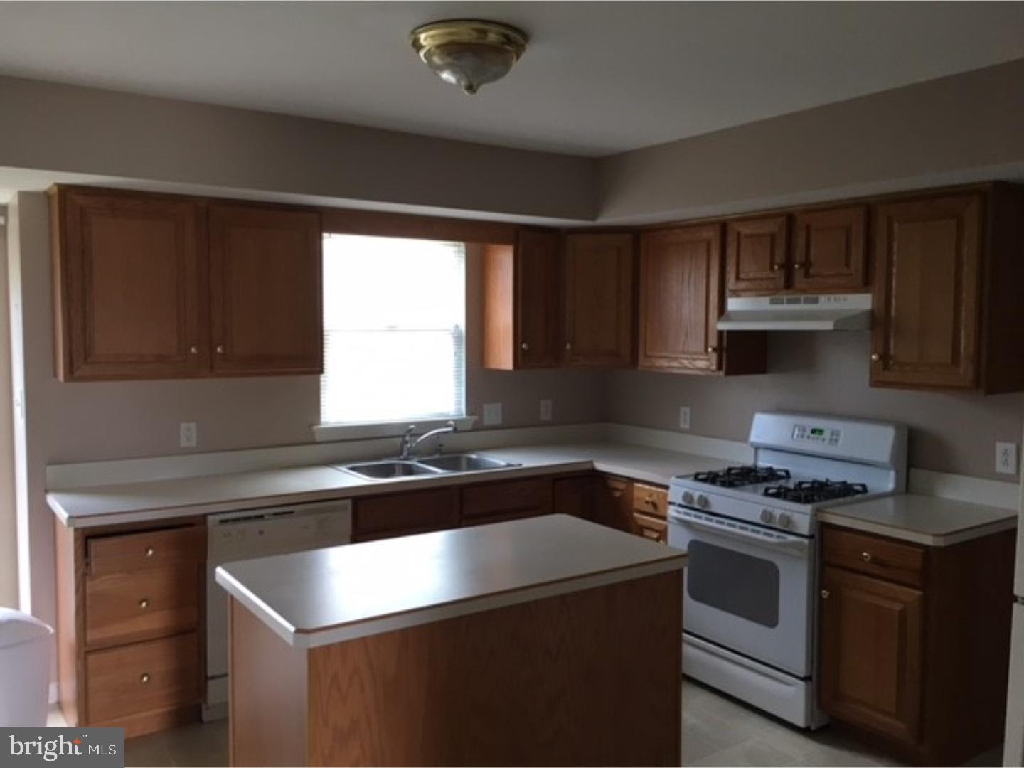228 North Sandy Lane Sinking Spring, PA 19608 - Photo 5 of 18 Kitchen