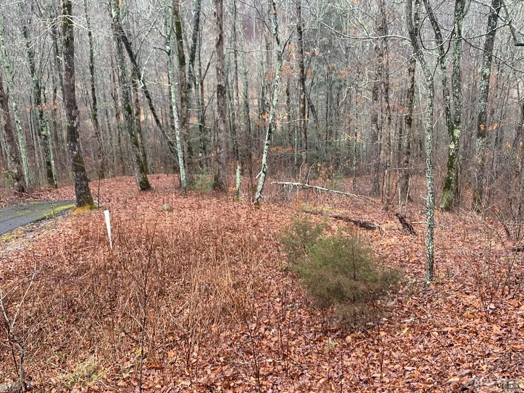 Lot 17 Pilot Knob Road Tuckasegee, NC 28783 - Photo 3 of 13 Gallery Image 3